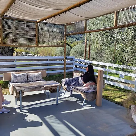 Aura Апартаменты