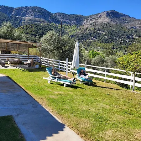 Aura شقة كوينيرا